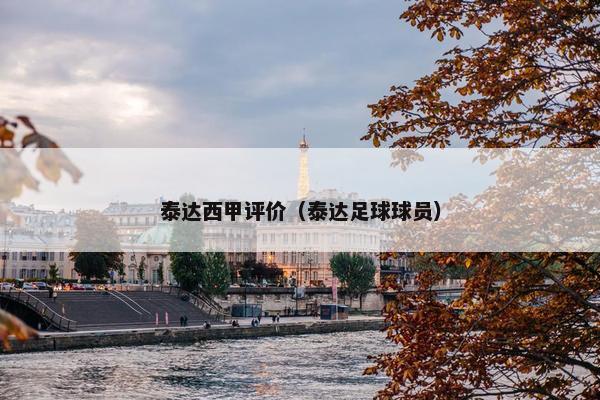 泰达西甲评价（泰达足球球员）