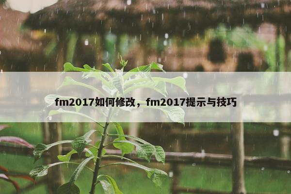 fm2017如何修改，fm2017提示与技巧