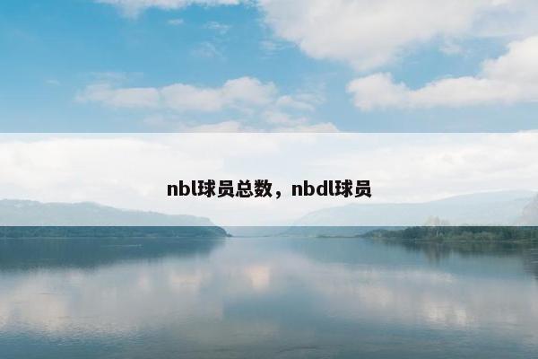 nbl球员总数，nbdl球员