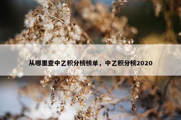 从哪里查中乙积分榜榜单，中乙积分榜2020