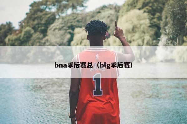 bna季后赛总（blg季后赛）