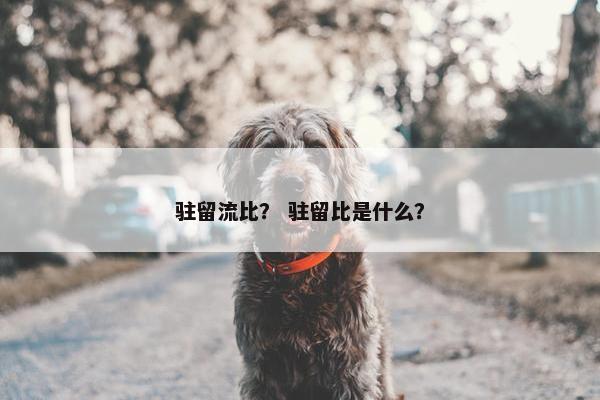 驻留流比？ 驻留比是什么？