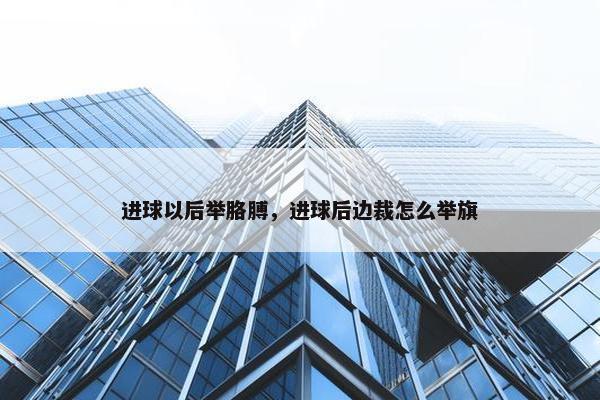 进球以后举胳膊，进球后边裁怎么举旗