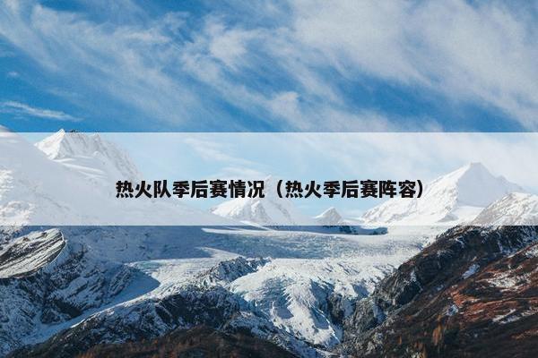热火队季后赛情况（热火季后赛阵容）