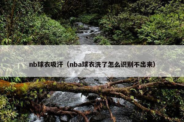 nb球衣吸汗（nba球衣洗了怎么识别不出来）