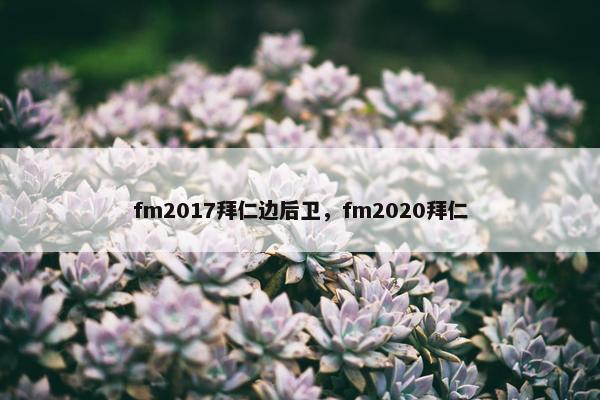 fm2017拜仁边后卫，fm2020拜仁