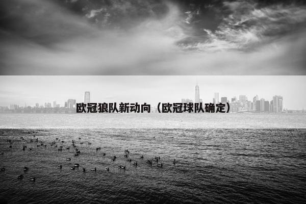 欧冠狼队新动向（欧冠球队确定）