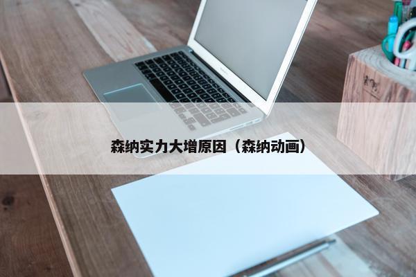 森纳实力大增原因（森纳动画）