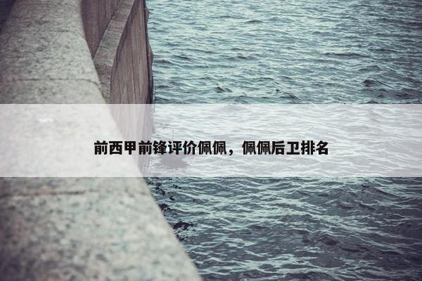 前西甲前锋评价佩佩，佩佩后卫排名