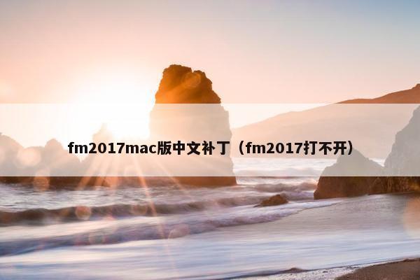 fm2017mac版中文补丁（fm2017打不开）
