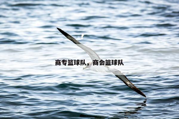 商专篮球队，商会篮球队