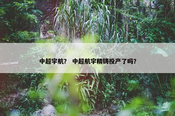 中超宇航？ 中超航宇精铸投产了吗？