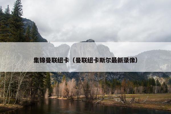 集锦曼联纽卡（曼联纽卡斯尔最新录像）