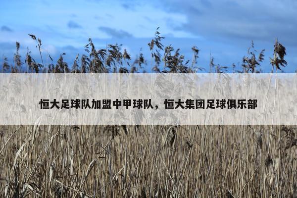恒大足球队加盟中甲球队，恒大集团足球俱乐部