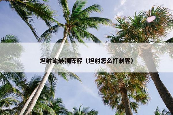 坦射流最强阵容（坦射怎么打刺客）