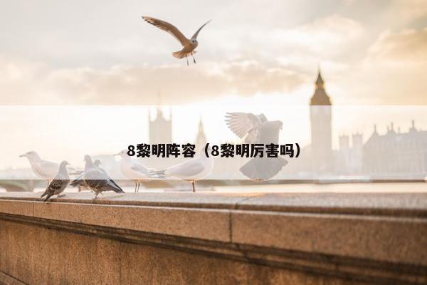 8黎明阵容（8黎明厉害吗）