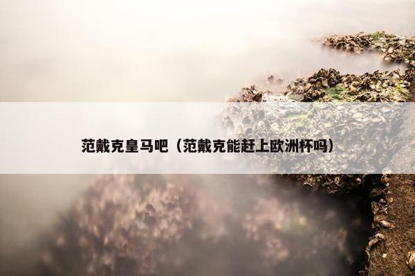 范戴克皇马吧（范戴克能赶上欧洲杯吗）