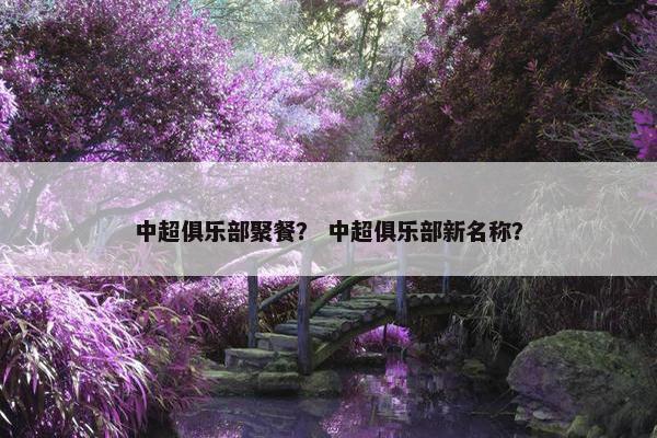中超俱乐部聚餐？ 中超俱乐部新名称？