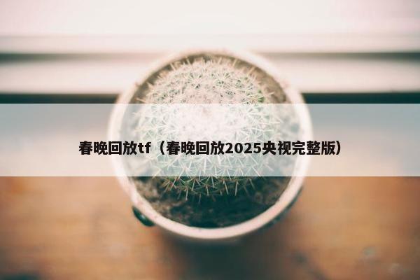 春晚回放tf（春晚回放2025央视完整版）