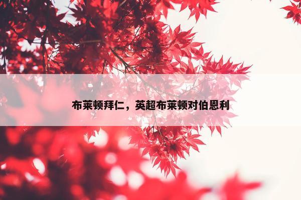 布莱顿拜仁，英超布莱顿对伯恩利