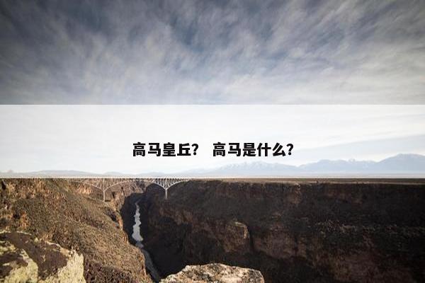 高马皇丘？ 高马是什么？