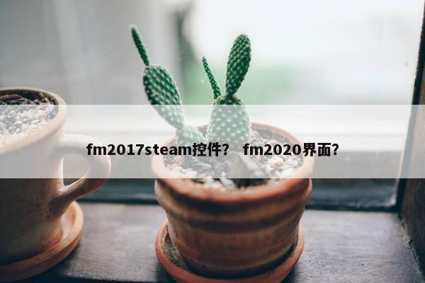 fm2017steam控件？ fm2020界面？