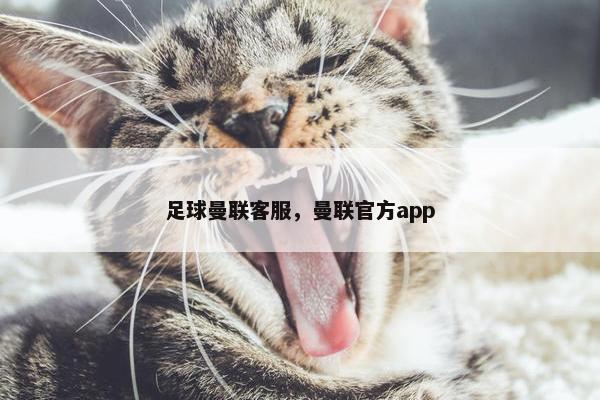 足球曼联客服，曼联官方app