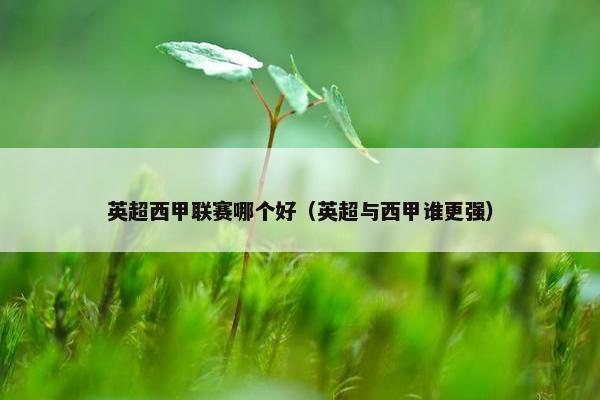 英超西甲联赛哪个好（英超与西甲谁更强）