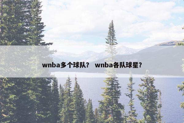 wnba多个球队？ wnba各队球星？