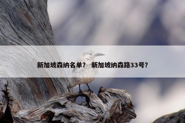 新加坡森纳名单？ 新加坡纳森路33号？