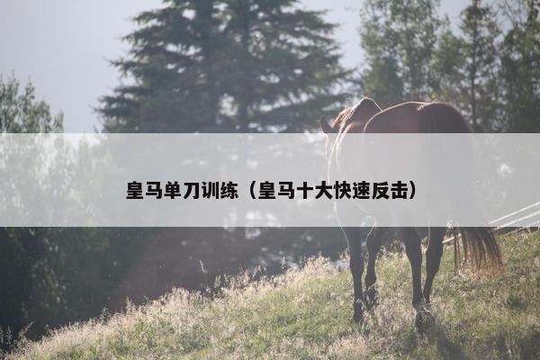 皇马单刀训练（皇马十大快速反击）