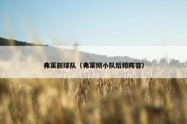 弗莱新球队（弗莱彻小队后排阵容）