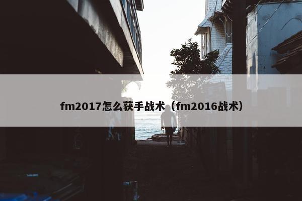 fm2017怎么获手战术（fm2016战术）