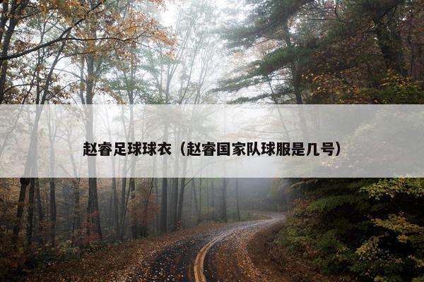 赵睿足球球衣（赵睿国家队球服是几号）