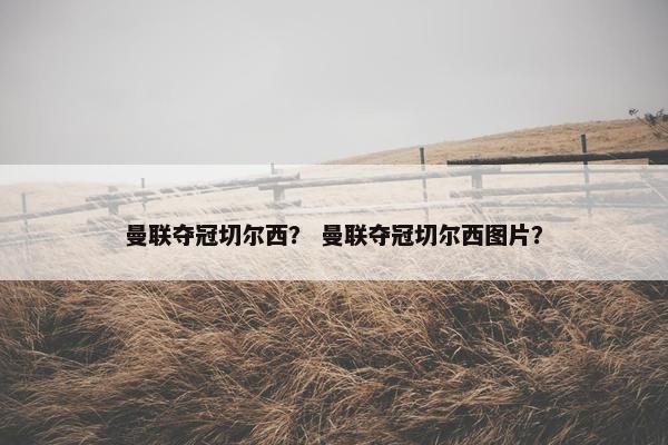 曼联夺冠切尔西？ 曼联夺冠切尔西图片？