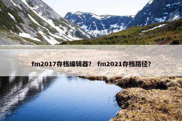 fm2017存档编辑器？ fm2021存档路径？