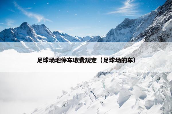 足球场地停车收费规定（足球场的车）