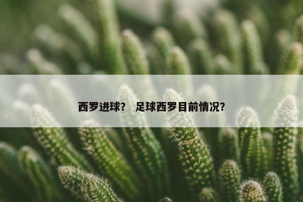 西罗进球？ 足球西罗目前情况？