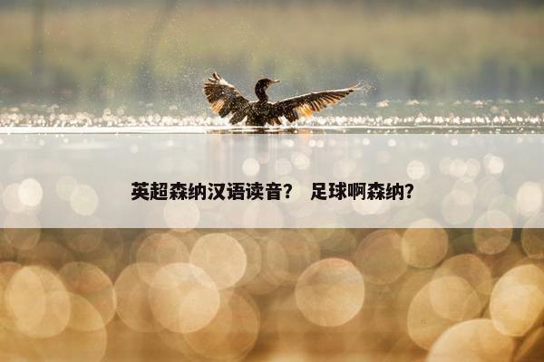英超森纳汉语读音？ 足球啊森纳？
