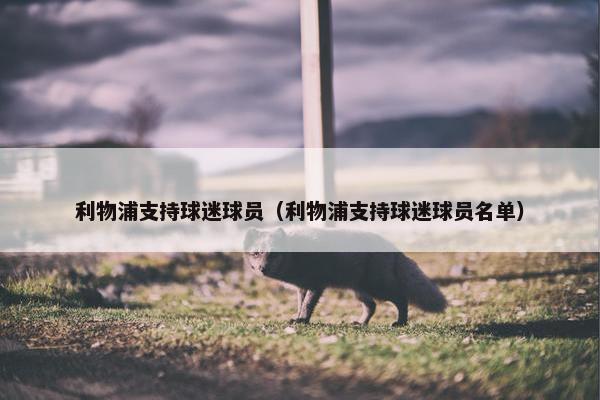 利物浦支持球迷球员（利物浦支持球迷球员名单）