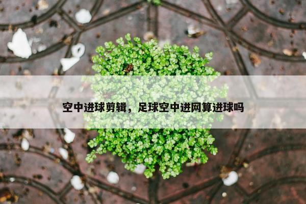 空中进球剪辑，足球空中进网算进球吗