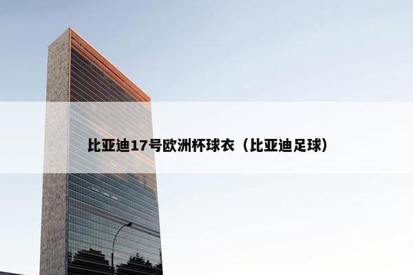比亚迪17号欧洲杯球衣（比亚迪足球）