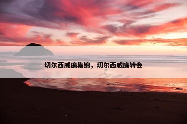 切尔西威廉集锦，切尔西威廉转会
