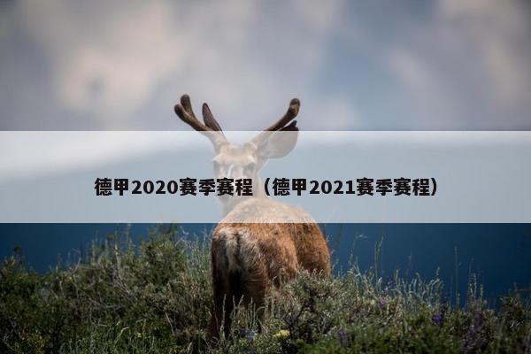 德甲2020赛季赛程（德甲2021赛季赛程）