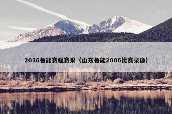 2016鲁能赛程赛果（山东鲁能2006比赛录像）
