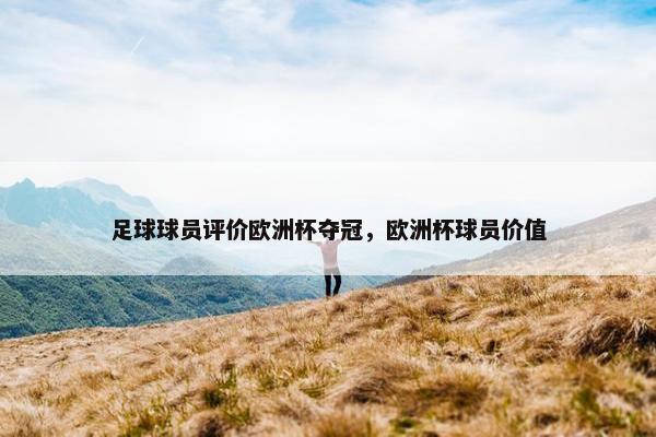 足球球员评价欧洲杯夺冠，欧洲杯球员价值