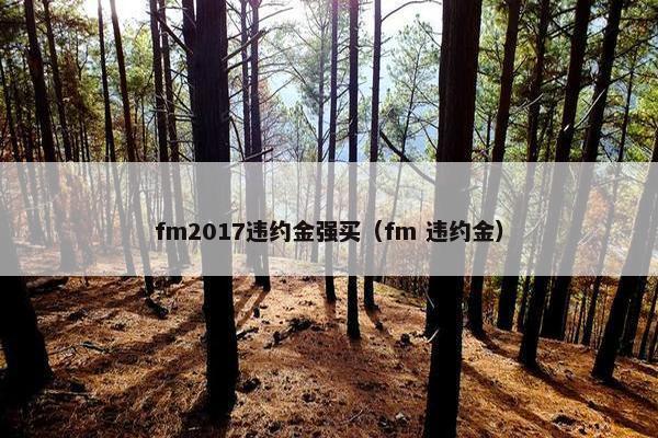 fm2017违约金强买（fm 违约金）