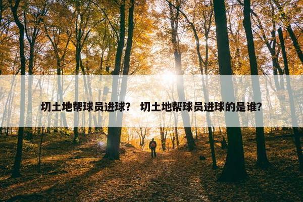 切土地帮球员进球？ 切土地帮球员进球的是谁？
