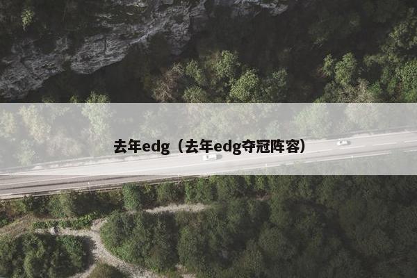 去年edg（去年edg夺冠阵容）