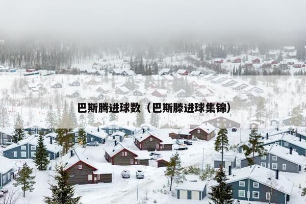 巴斯腾进球数（巴斯滕进球集锦）